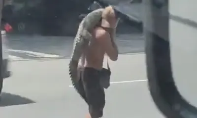 Homem é flagrado carregando jacaré pelas ruas de Manaus
