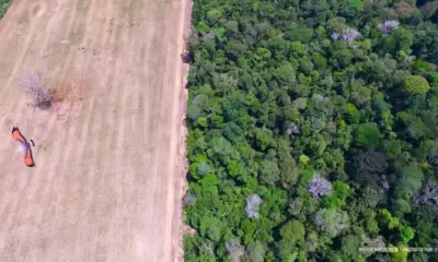 MP apura baixa efetividade na recuperação de áreas desmatadas no Acre