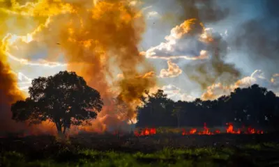 Focos de queimadas invadem o Segundo Distrito de Rio Branco