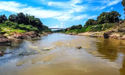Nível do Rio Acre segue em queda e marca 1,77 metro em Rio Branco