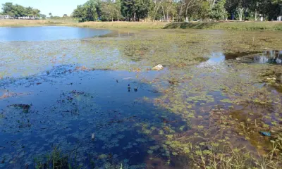 Lago do Amor acumula lixo e até animais mortos em Rio Branco