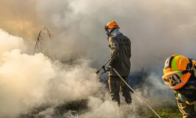 Incêndio de grandes proporções mobiliza Corpo de Bombeiros na Amadeu Barbosa