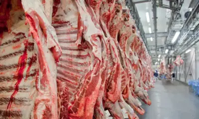 Exportações de carne do Acre não são impactadas com tarifa norte-americana
