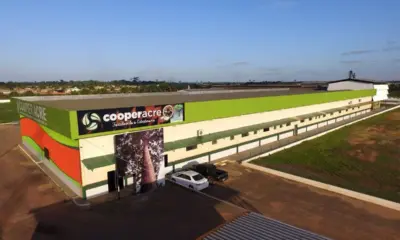 Cooperacre entra na cadeia produtiva do café: quais cuidados isso exige?