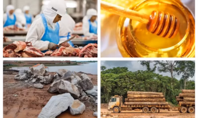 Carne, mel, madeira e mais: as vendas brasileiras já prejudicadas por anúncio de tarifa de Trump
