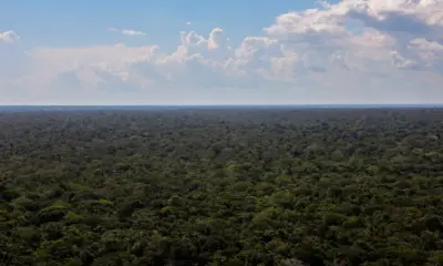 Organizações sociais propõem plano para investimentos na Amazônia
