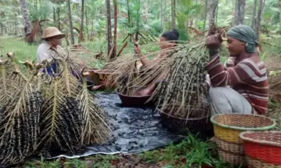 Mais de 34 mil pessoas vivem em Unidades de Conservação no Acre