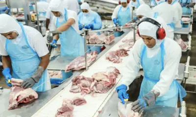 México pode ser estratégico para exportação acreana de carne de porco