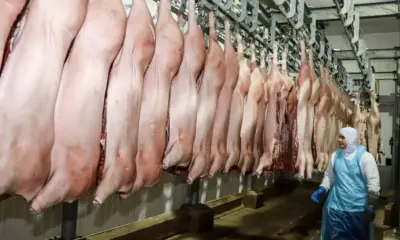 México e Chile redesenham exportações brasileiras de carne suína e bovina