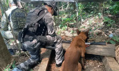 Arma é encontrada em ramal onde homens foram mortos em Mâncio Lima