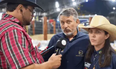 Leilão Nelore Star, da Galileu Leilões, oferece gado de alta genética