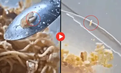 Vídeo mostra tapurus em comida de alunos do Lourival Pinho e SEE diz que não encontrou irregularidades