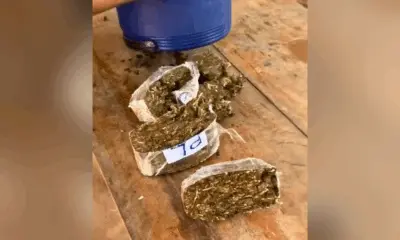 Policiais frustram entrada de drogas e celulares no presídio de Rio Branco
