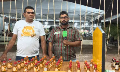 Apicultura ganha espaço na Expoacre com destaque para mel com e sem ferrão