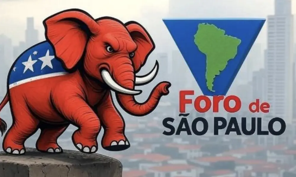 Não é seguro brincar com elefantes
