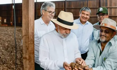 Produtores de castanha do Acre não serão prejudicados pelo “tarifaço” dos EUA, diz Lula