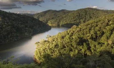 Brasil perde vegetação natural equivalente ao tamanho da Bolívia em 40 anos