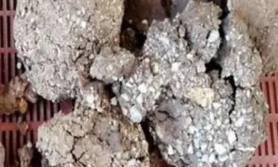 Justiça suspende extração ilegal de diamantes no sul do Amazonas