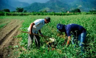 Incra amplia área e número de famílias beneficiadas em assentamento no Acre