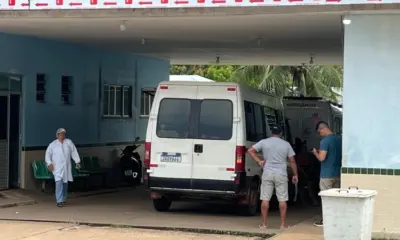 Enxame de abelhas invade ônibus escolar em Iranduba e deixa crianças feridas