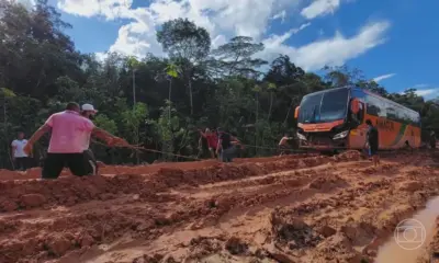 TCU mantém licença para obras no ‘trecho do meio’ da BR-319, mas cobra rigor ambiental