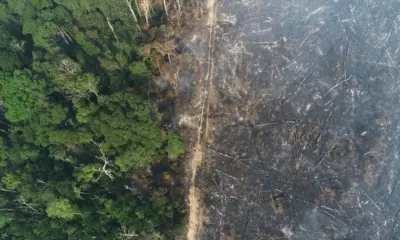 Apuí e Lábrea lideram ranking de desmatamento na Amazônia, aponta Imazon