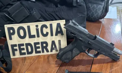PF deflagra Operação Espião contra fraude em documentos para legalizar madeira ilegal