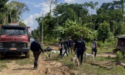 Cinco pessoas são presas por caça e retirada de madeira ilegal em Cruzeiro do Sul
