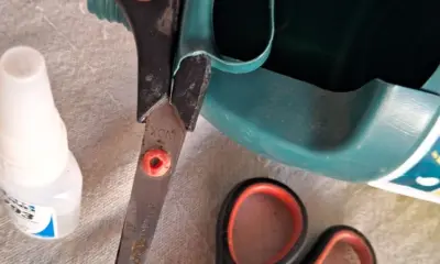 A orelha nova da minha tesoura velha