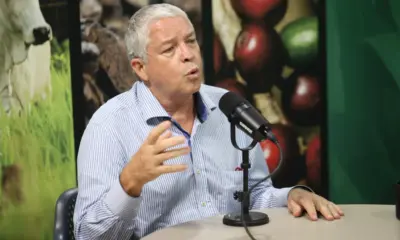 Acre perde bilhões ao ignorar potencial econômico do bambu