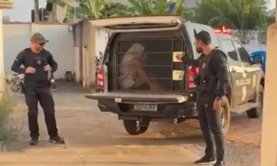 Acusado de roubar carro de motorista de aplicativo é preso