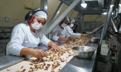 Na Cooperacre, Carlinhos do Pelado conhece potencial de produção da castanha