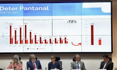 Em 12 meses, desmatamento na Amazônia registra segunda menor taxa da série histórica