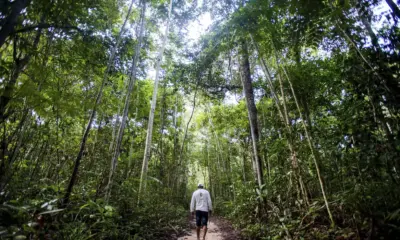 III Fórum de Bioeconomia promove o Bamboo Day