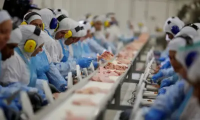 Seleção de estados para comércio de carne põe em xeque status sanitário unificado