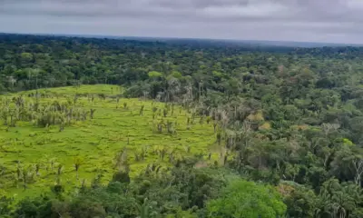 Verde Brasil minimiza conflitos com posseiros em dois seringais de Tarauacá