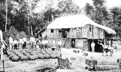 Expulsão dos seringais nos anos 1980, religião e ressentimentos: raízes da desesperança de hoje