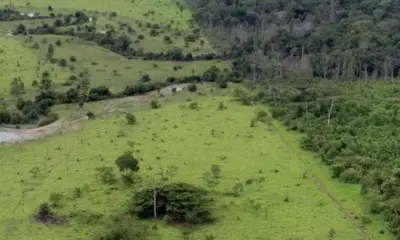 Sema e UFMG apresentam Selo Verde para monitoramento do Cadastro Ambiental Rural
