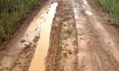 MP cobra recuperação do Ramal Porto Alonso em Porto Acre