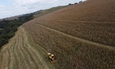Agro americano endurece com Brasil e pede firmeza a Trump