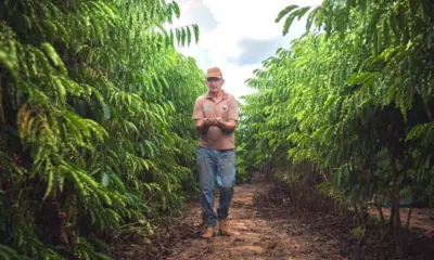 Turismo rural no Acre ganha força com produção de café