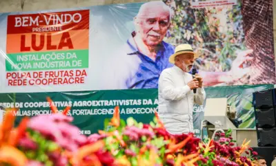 Oposição e Câmara Federal estão ajudando Lula!