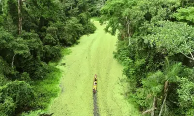Lei cria centro de monitoramento ambiental no Acre