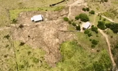 Justiça Federal suspende portaria do Incra que arrecadava área da Fazenda Palotina no Amazonas