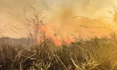 Incêndio é controlado pelos bombeiros no bairro Floresta Sul