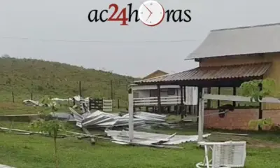 Vendaval destelha casas, derruba árvores e causa estragos em Tarauacá