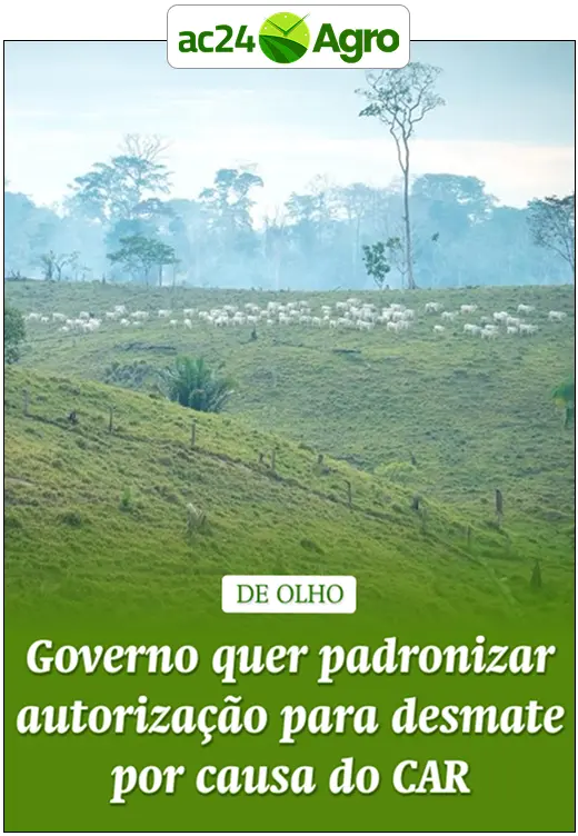Governo quer padronizar autorização para desmate por causa do CAR