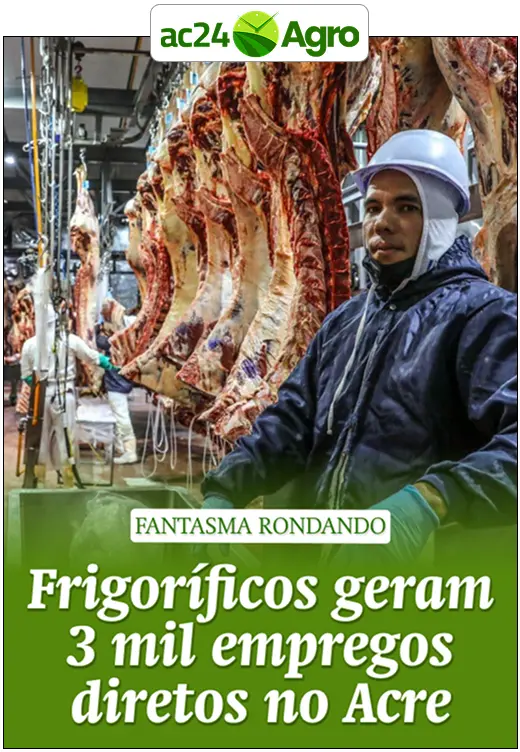 Frigoríficos geram 3 mil empregos diretos no Acre