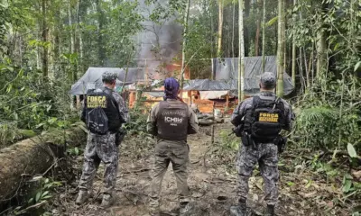 Ministro autoriza uso da Força Nacional no combate a crimes ambientais na Amazônia