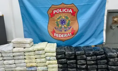 PF encontra 90 kg de cocaína no PA em navio que transportava gado rumo ao Oriente Médio